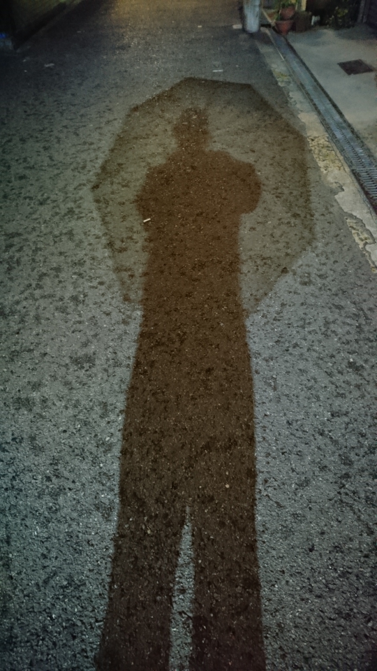 雨降りにビニール傘をさして歩いていると電柱につけられた街灯に照らせれました。足が長く見えませんか。